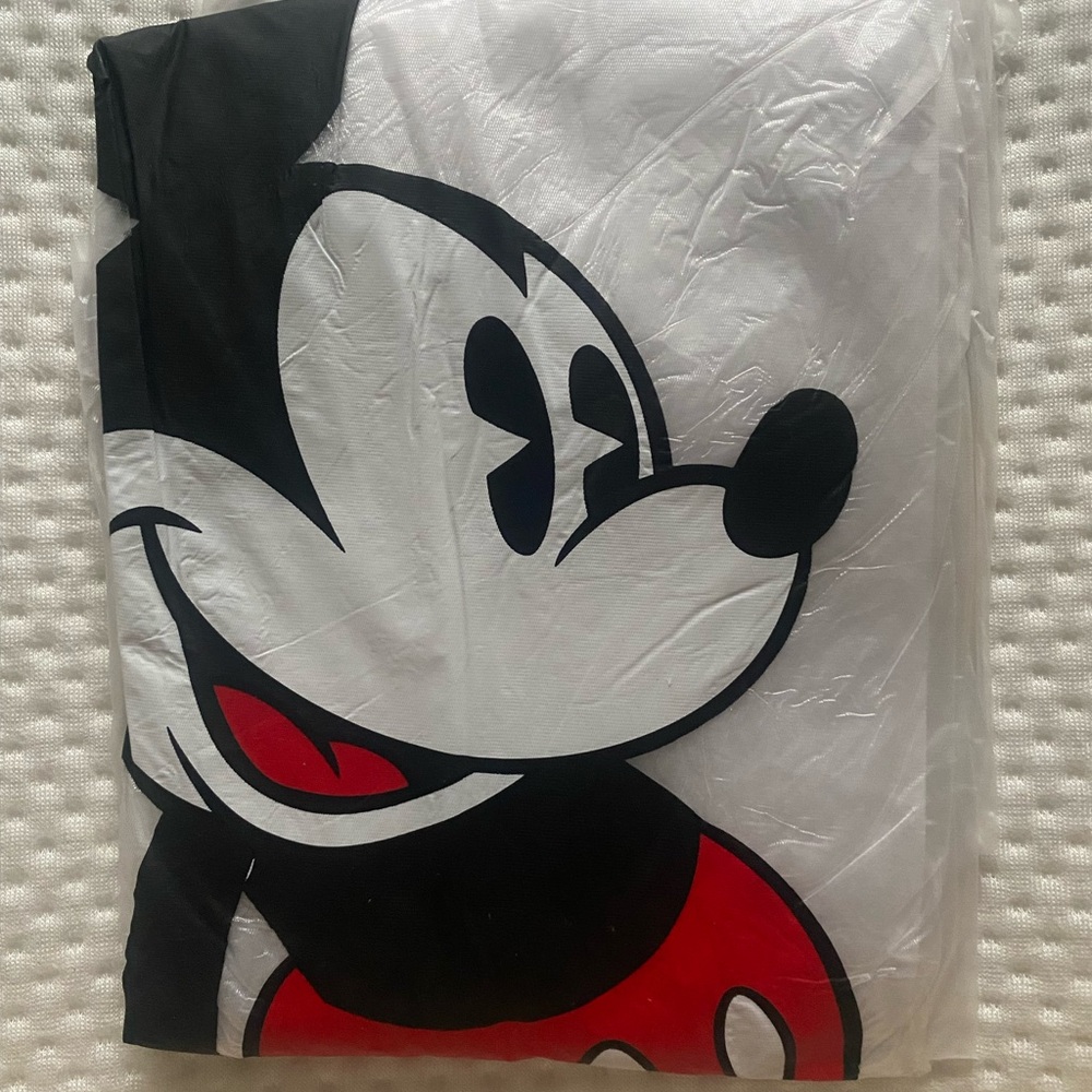 Theme Park Ponchos